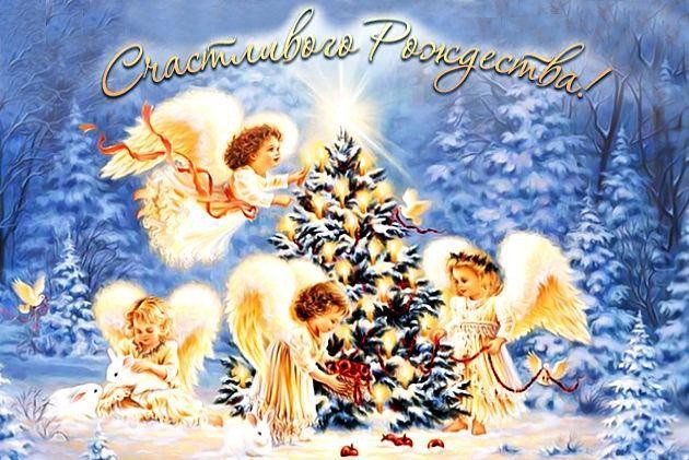 Глава Вышневолоцкого округа Наталья Рощина обратилась с рождественским поздравлением