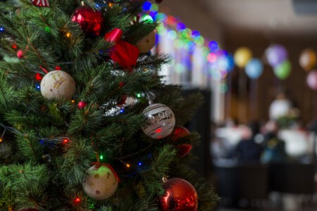 Эксперт рассказал, как правильно утилизировать новогоднюю ёлку Эксперт рассказал, как правильно утилизировать новогоднюю ёлку