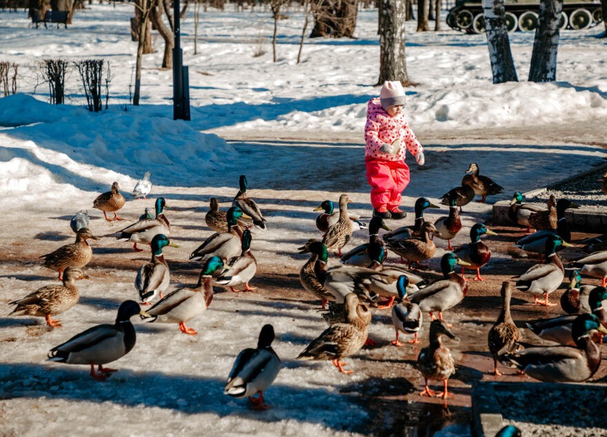 Оттепель в Тверской области продлится недолго