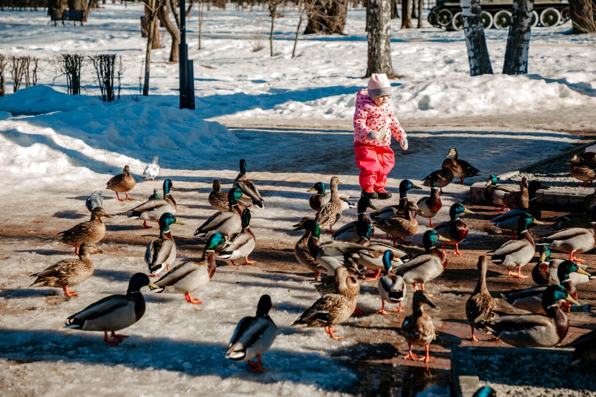 Оттепель в Тверской области продлится недолго