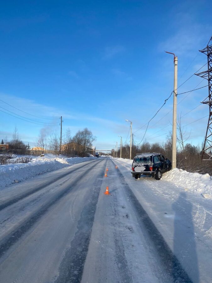 В Тверской области женщина-водитель врезалась в столб