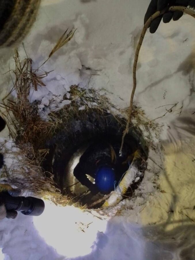 Сотрудники МЧС спасли в Твери попавшую в беду собаку