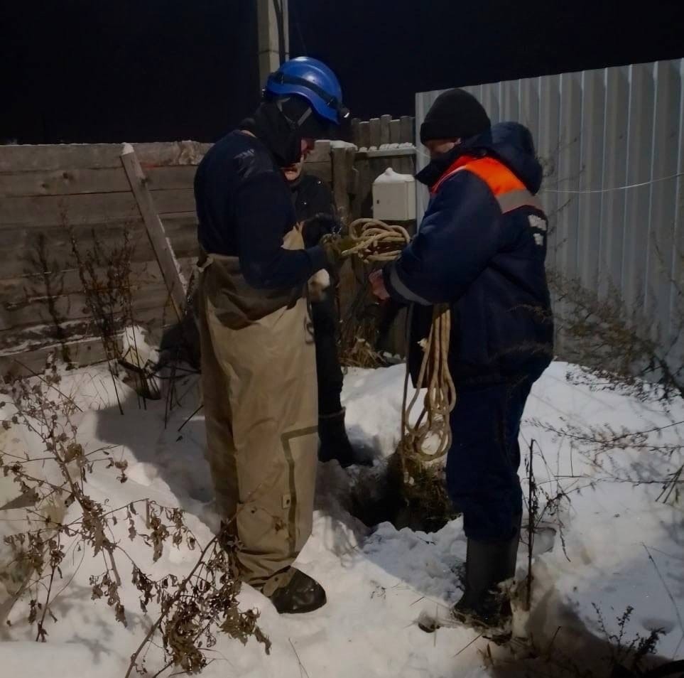Сотрудники МЧС спасли в Твери попавшую в беду собаку