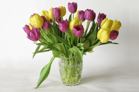 Губернатор Игорь Руденя поздравил со 100-летием труженицу тыла Губернатор Игорь Руденя поздравил со 100-летием труженицу тыла