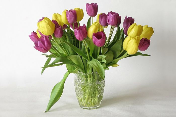 Губернатор Игорь Руденя поздравил со 100-летием труженицу тыла