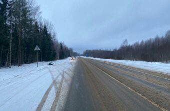 Легковушка в кювете: ДТП в Тверской области