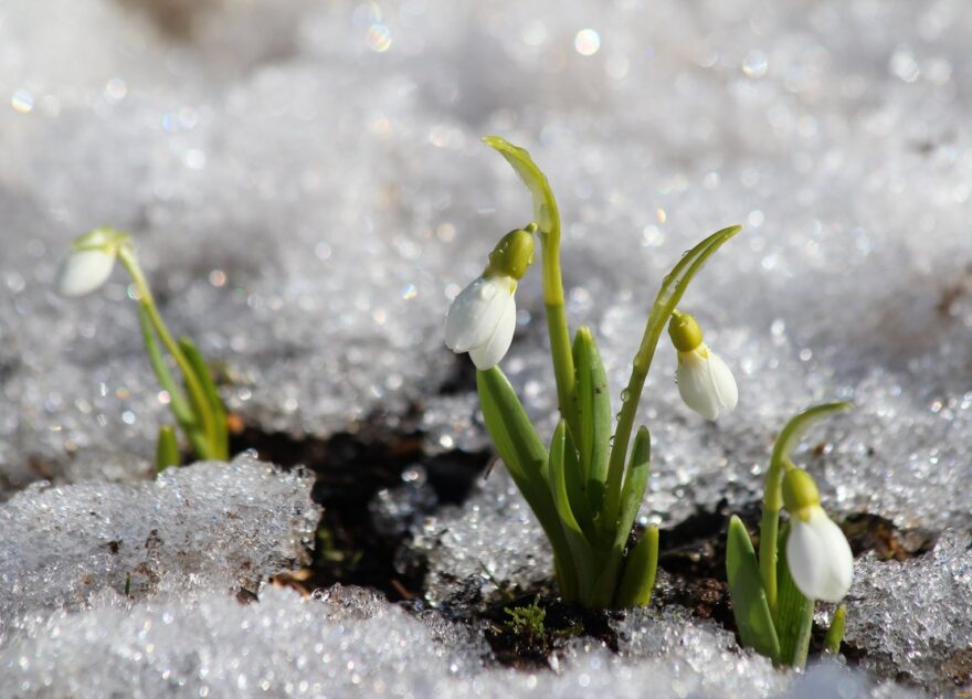 Безумный год: синоптики рассказали, какими будут весна и лето в 2023 году