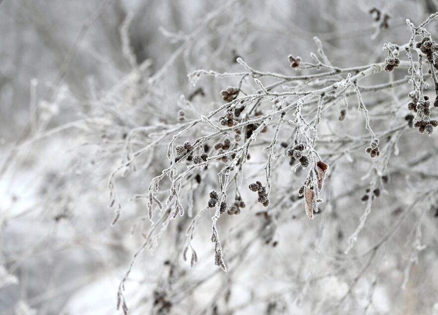 Сильные морозы и снегопады надвигаются на Тверскую область