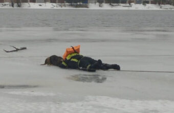В Тверской области сотрудники МЧС спасли тонущую собаку