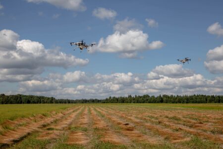 В Тверской области увеличили господдержку аграриев, занимающихся элитным семеноводством В Тверской области увеличили господдержку аграриев, занимающихся элитным семеноводством