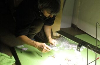 В андреапольском музее описывают коллекцию предметов археологии В андреапольском музее описывают коллекцию предметов археологии