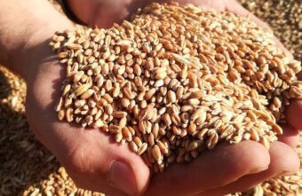 86 малых сельхозпредприятий Тверской области получат поддержку 86 малых сельхозпредприятий Тверской области получат поддержку