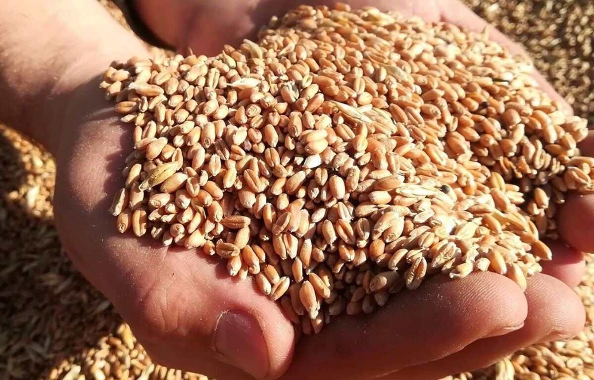 86 малых сельхозпредприятий Тверской области получат поддержку