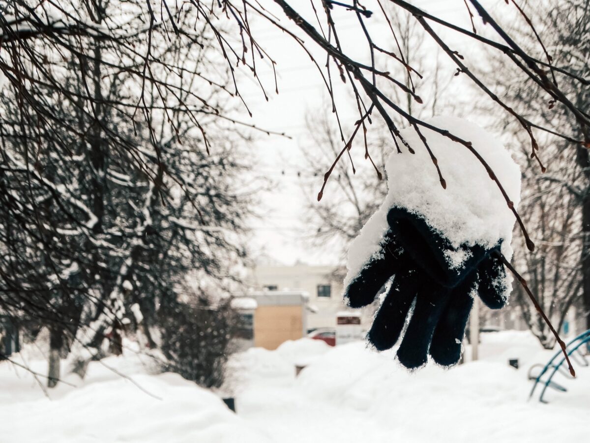 Жителей Тверской области предупреждают о температурных качелях