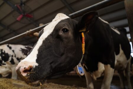 В Тверской области вводят новые меры поддержки предприятий АПК В Тверской области вводят новые меры поддержки предприятий АПК