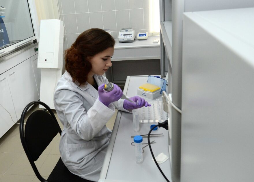 В России выявили второй случай заражения «кракеном»