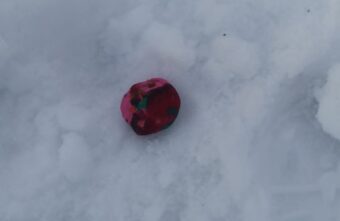 Мужчину с амфетамином задержали на железнодорожной станции в Тверской области