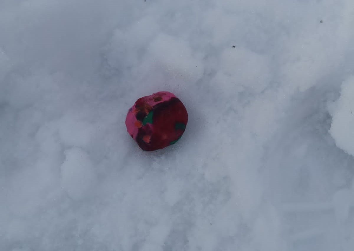 Мужчину с амфетамином задержали на железнодорожной станции в Тверской области