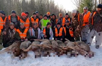 Девять волков за два часа убили охотники в Тверской области