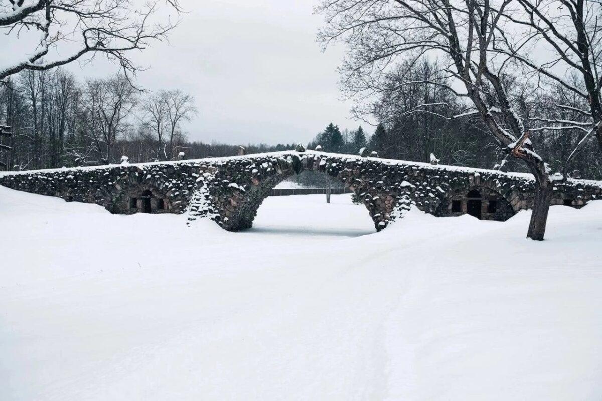 Очевидцы сняли в Тверской области замерзший водопад в гроте