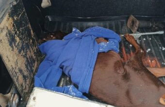 В Тверской области безответственный водитель насмерть сбил собаку В Тверской области безответственный водитель насмерть сбил собаку