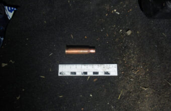 В Тверской области мужчины занимались незаконной охотой на оленя