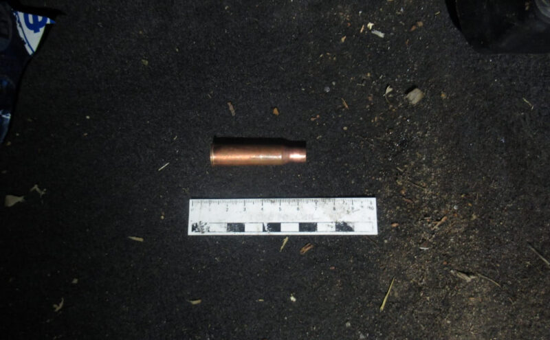 В Тверской области мужчины занимались незаконной охотой на оленя В Тверской области мужчины занимались незаконной охотой на оленя