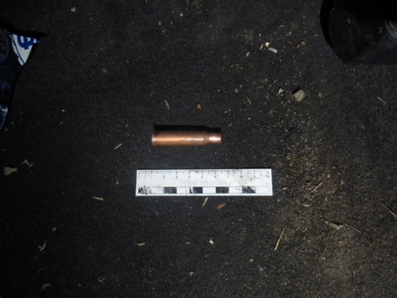 В Тверской области мужчины занимались незаконной охотой на оленя