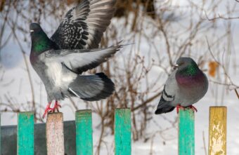 Синоптики дали прогноз погоды на весну в Тверской области Синоптики дали прогноз погоды на весну в Тверской области