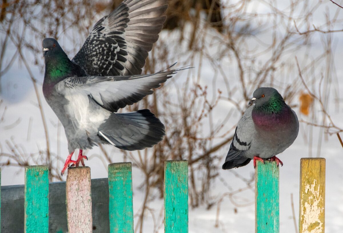 Синоптики дали прогноз погоды на весну в Тверской области