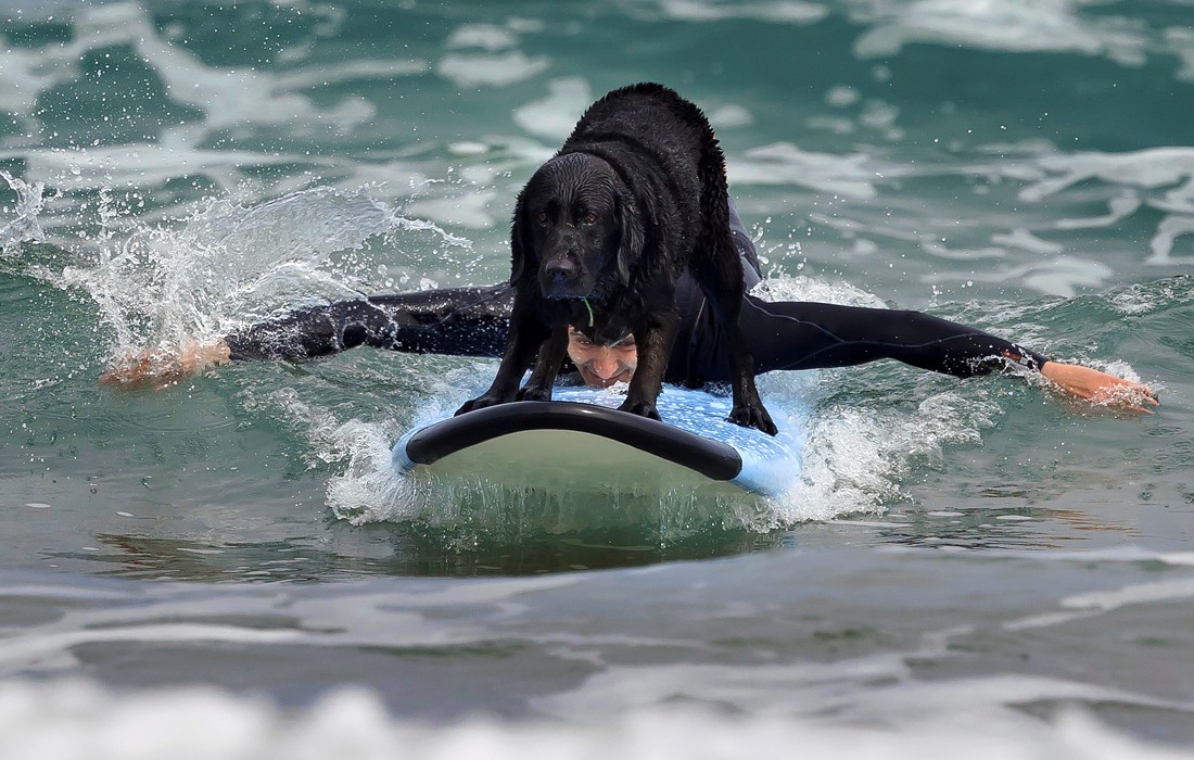 Россиянам назвали страны для отдыха на море без сложностей с визой