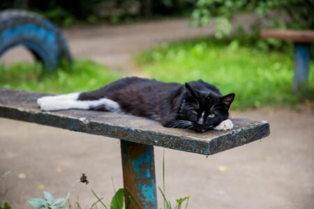 Жителям Тверской области напомнили, сколько дней отдохнем в майские праздники Жителям Тверской области напомнили, сколько дней отдохнем в майские праздники