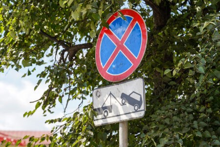 Депутат Госдумы: чтобы не получить штраф, нужно доказать, что вы припарковались на сорняке