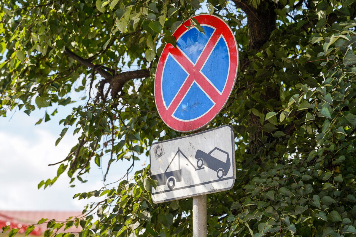 Депутат Госдумы: чтобы не получить штраф, нужно доказать, что вы припарковались на сорняке