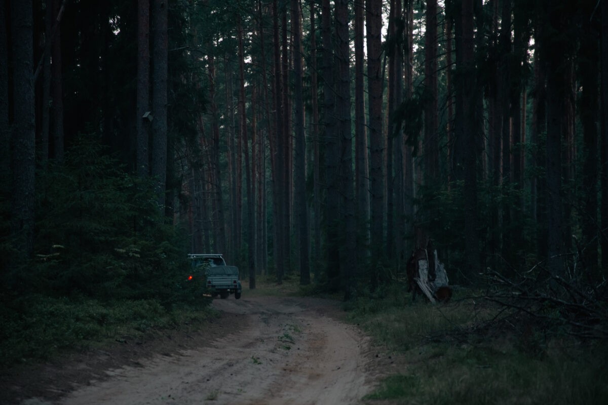 Арендатору участка в Тверской области придется возместить ущерб от незаконной рубки