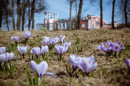 Погода перенесет жителей Тверской области на 3 недели вперед
