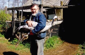 Каждый год в Тверской области журавль возвращается к родным биологам