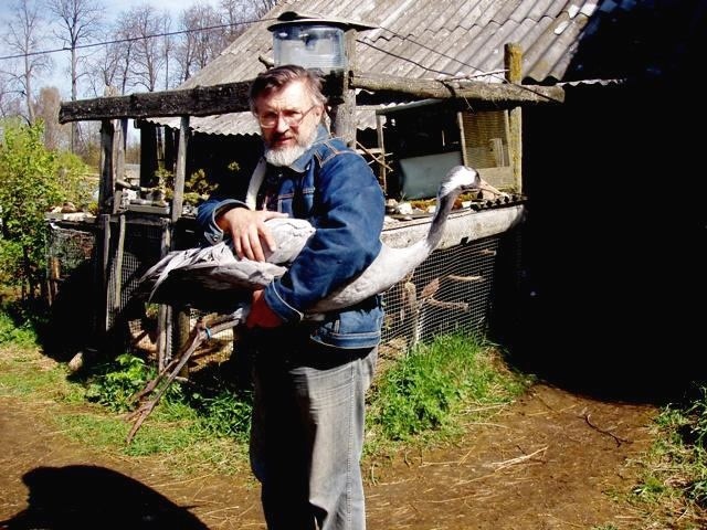 Каждый год в Тверской области журавль возвращается к родным биологам