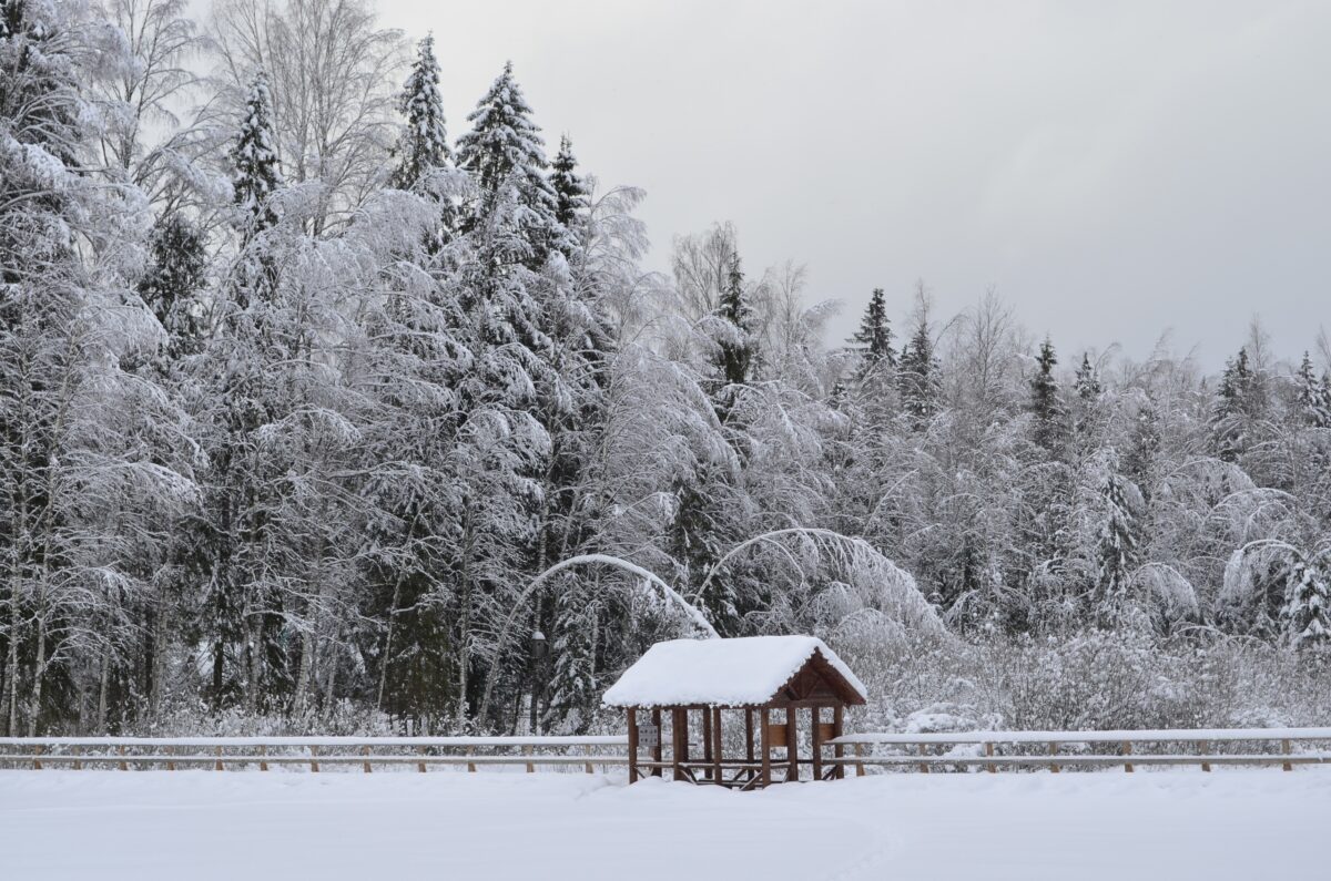 В заповеднике Тверской области три дня не было света из-за снежного коллапса