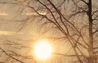 В ночь на 21 марта наступит весеннее равноденствие