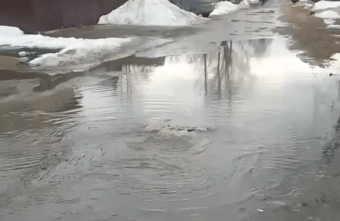 На месте прорыва канализации в Твери поселились утки