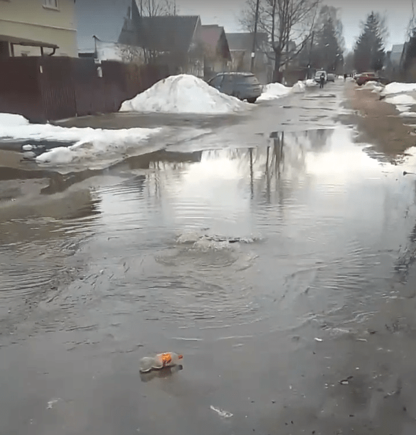 На месте прорыва канализации в Твери поселились утки