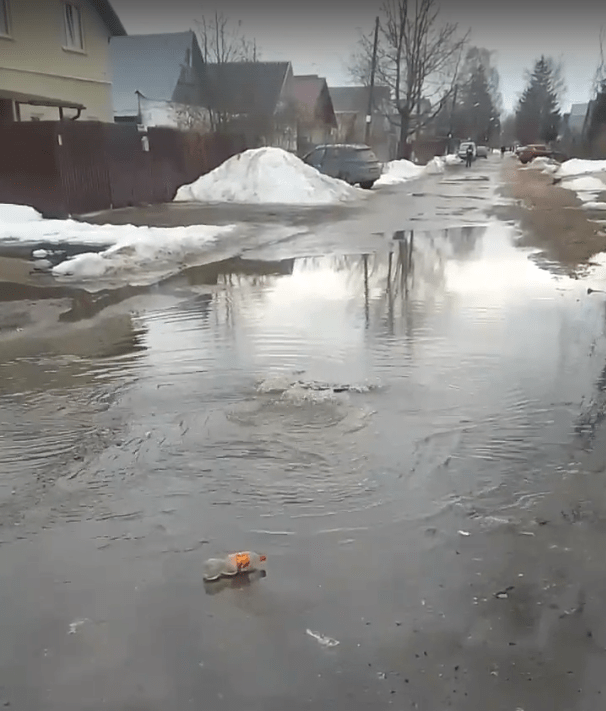 На месте прорыва канализации в Твери поселились утки