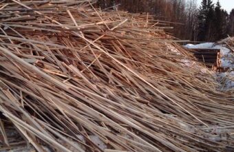 Куча оставленных досок загрязняла почву на пилораме в Тверской области