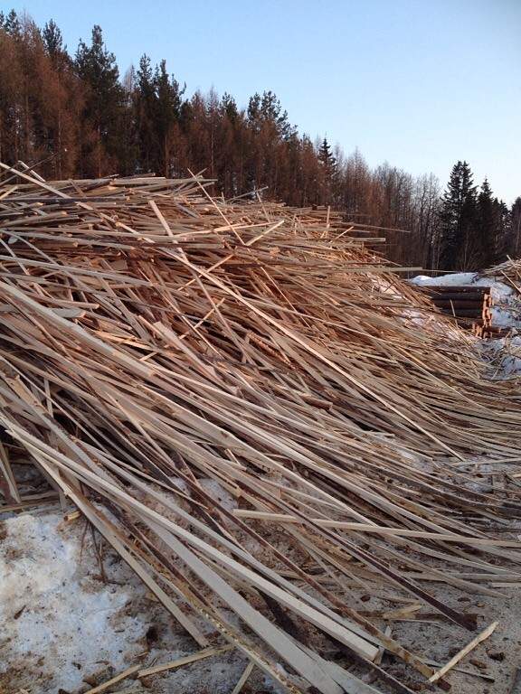 Куча оставленных досок загрязняла почву на пилораме в Тверской области