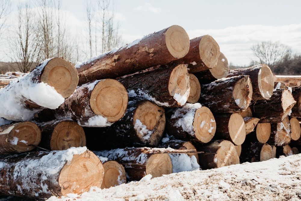 Злоумышленник разобрал и похитил бревенчатый дом в Тверской области
