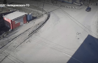 В городе Тверской области не смогли поймать дикую косулю В городе Тверской области не смогли поймать дикую косулю