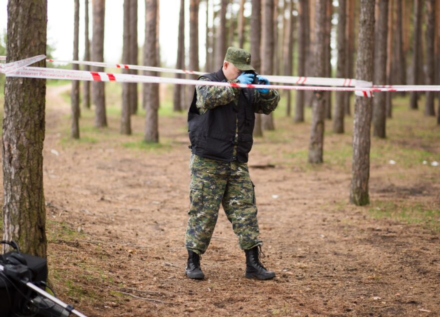 В лесу Тверской области нашли останки человека