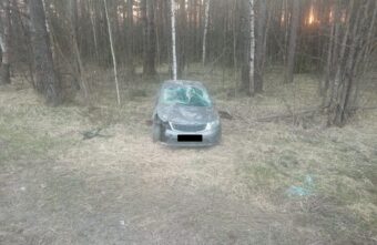 Водитель иномарки сбил лося на "Золотом кольце" в Тверской области Водитель иномарки сбил лося на "Золотом кольце" в Тверской области