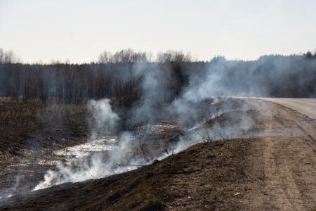 Ответственность за пожары в России будут нести собственники земель Ответственность за пожары в России будут нести собственники земель